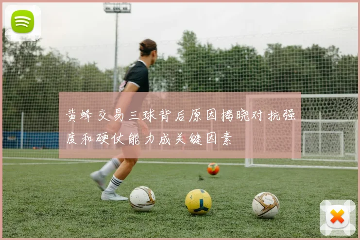 黄蜂交易三球背后原因揭晓对抗强度和硬仗能力成关键因素